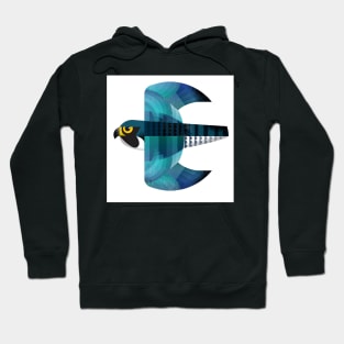 Peregrine Falcon Hoodie